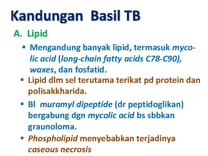 Kandungan Basil TB A. Lipid § Mengandung banyak lipid, termasuk mycolic acid (long-chain fatty