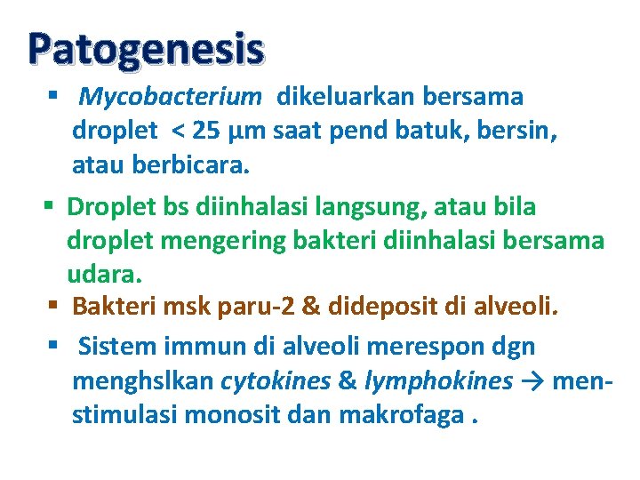 Patogenesis § Mycobacterium dikeluarkan bersama droplet < 25 µm saat pend batuk, bersin, atau