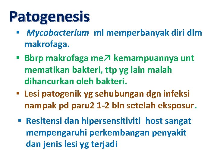 Patogenesis § Mycobacterium ml memperbanyak diri dlm makrofaga. § Bbrp makrofaga me↗ kemampuannya unt