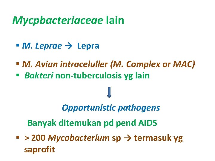 Mycpbacteriaceae lain § M. Leprae → Lepra § M. Aviun intraceluller (M. Complex or