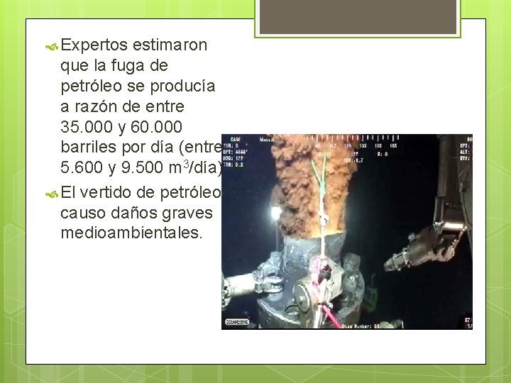  Expertos estimaron que la fuga de petróleo se producía a razón de entre