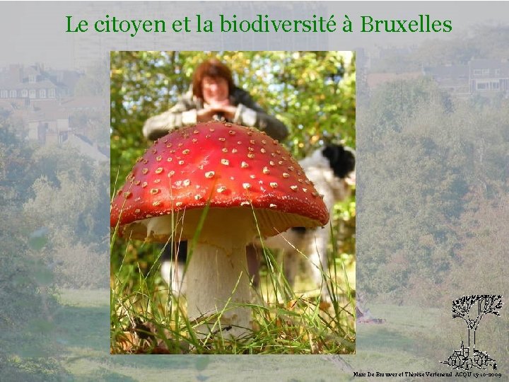 Le citoyen et la biodiversité à Bruxelles Biodiversité Marc De Brouwer et Thérèse Verteneuil