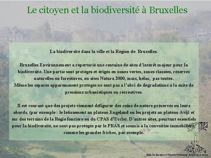 Le citoyen et la biodiversité à Bruxelles La biodiversité dans la ville et la