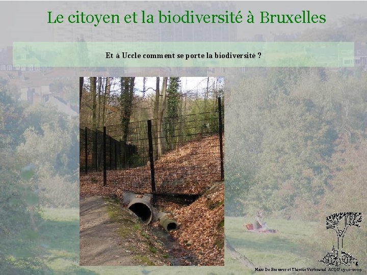 Le citoyen et la biodiversité à Bruxelles Et à Uccle comment se porte la