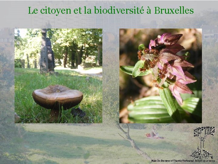 Le citoyen et la biodiversité à Bruxelles Biodiversité Marc De Brouwer et Thérèse Verteneuil