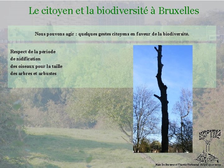 Le citoyen et la biodiversité à Bruxelles Nous pouvons agir : quelques gestes citoyens
