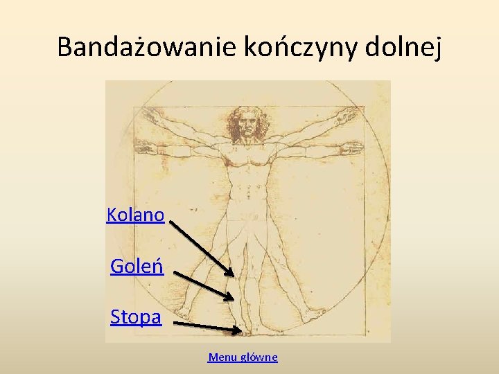 Bandażowanie kończyny dolnej Kolano Goleń Stopa Menu główne 