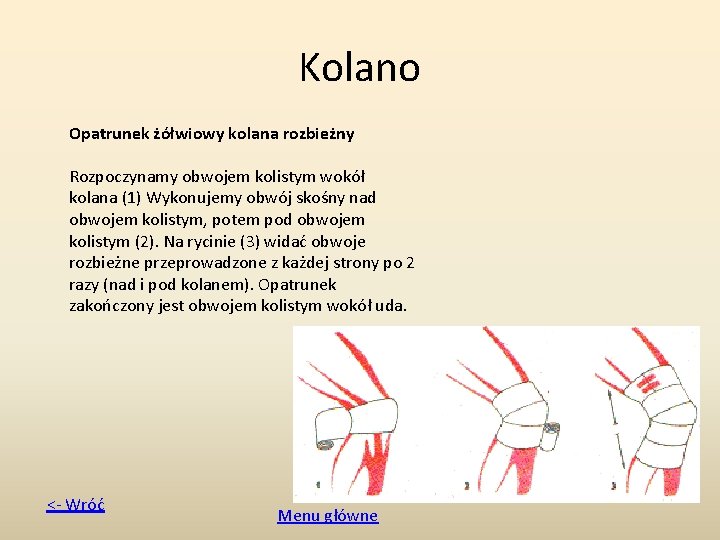 Kolano Opatrunek żółwiowy kolana rozbieżny Rozpoczynamy obwojem kolistym wokół kolana (1) Wykonujemy obwój skośny