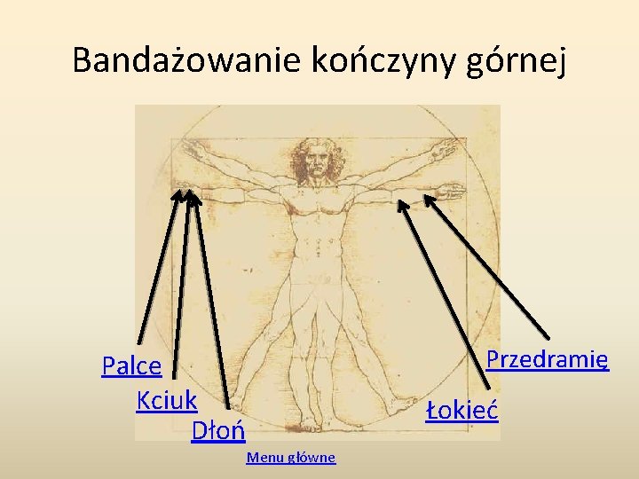 Bandażowanie kończyny górnej Przedramię Palce Kciuk Dłoń Łokieć Menu główne 