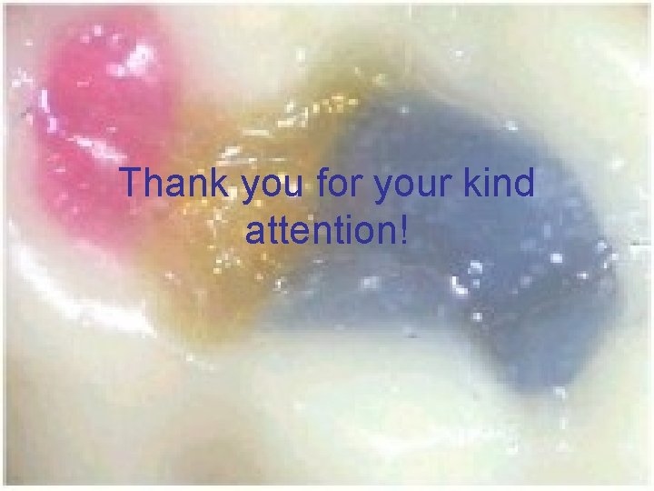 Thank you for your kind attention! 