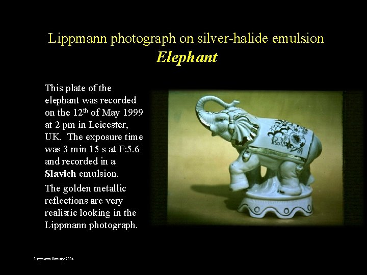 Lippmann photograph on silver-halide emulsion Elephant This plate of the elephant was recorded on