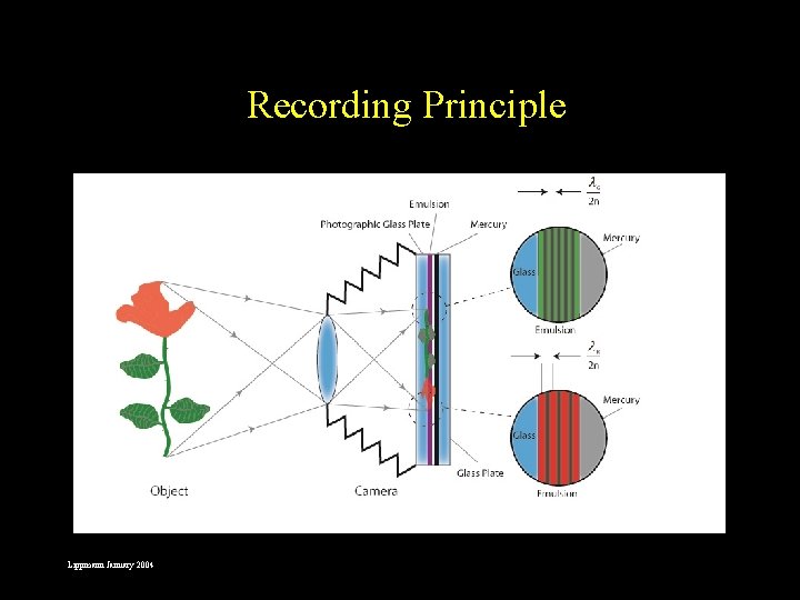 Recording Principle Lippmann January 2004 