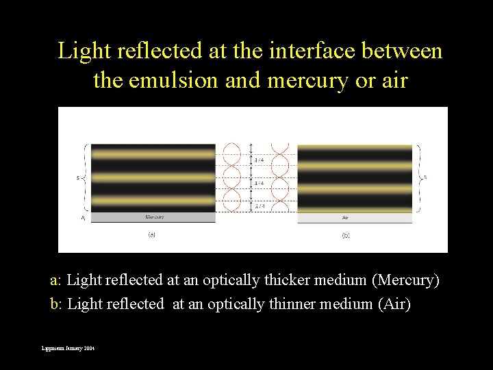 Light reflected at the interface between the emulsion and mercury or air a: Light