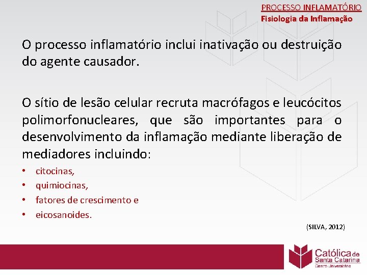 PROCESSO INFLAMATÓRIO Fisiologia da Inflamação O processo inflamatório inclui inativação ou destruição do agente