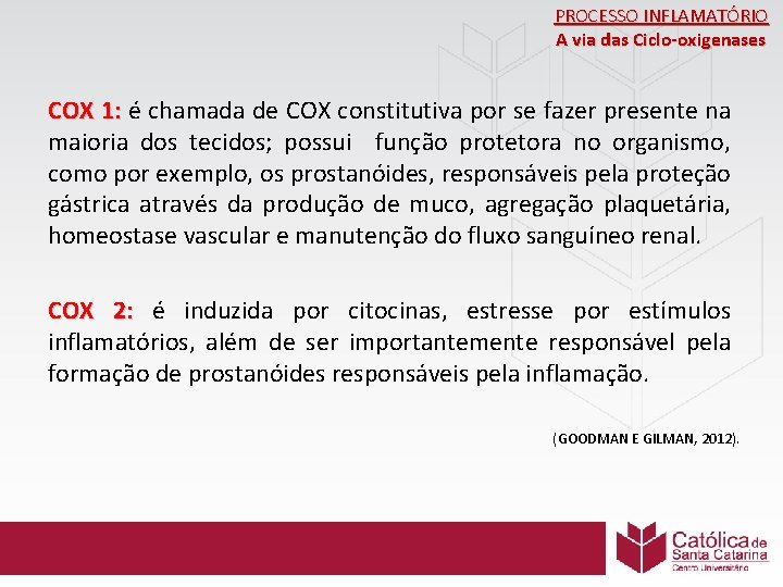 PROCESSO INFLAMATÓRIO A via das Ciclo-oxigenases COX 1: é chamada de COX constitutiva por