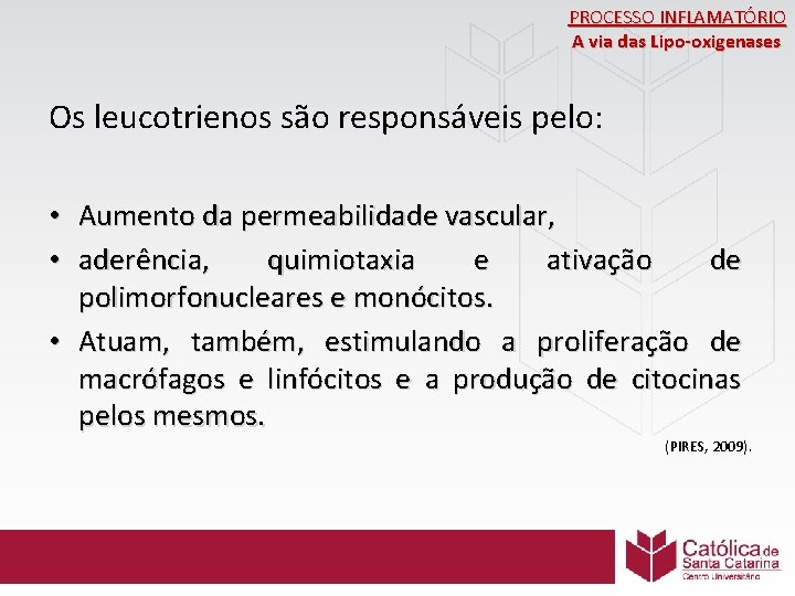 PROCESSO INFLAMATÓRIO A via das Lipo-oxigenases Os leucotrienos são responsáveis pelo: • Aumento da