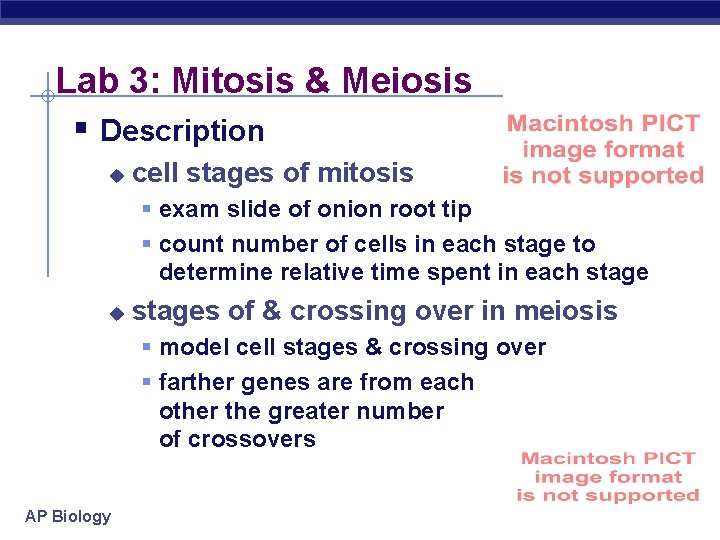 Lab 3: Mitosis & Meiosis § Description u cell stages of mitosis § exam