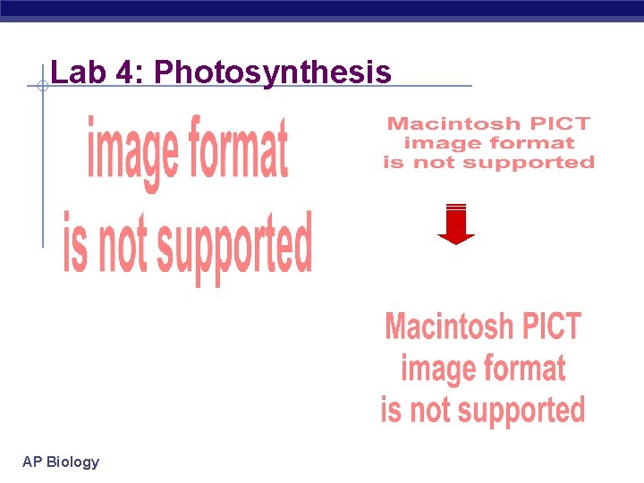 Lab 4: Photosynthesis AP Biology 