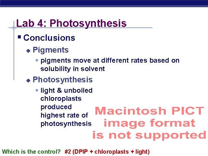 Lab 4: Photosynthesis § Conclusions u Pigments § pigments move at different rates based