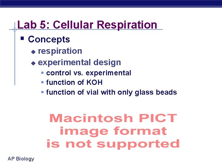 Lab 5: Cellular Respiration § Concepts respiration u experimental design u § control vs.