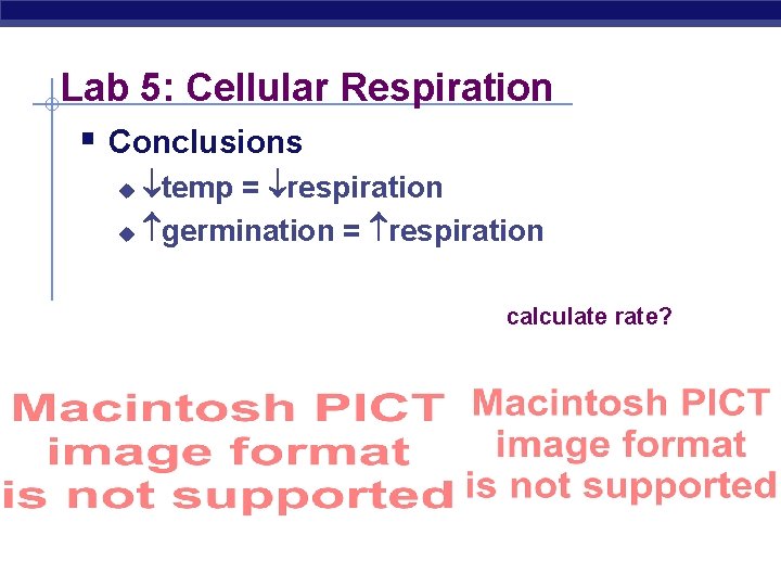 Lab 5: Cellular Respiration § Conclusions temp = respiration u germination = respiration u