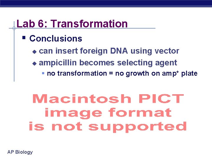 Lab 6: Transformation § Conclusions can insert foreign DNA using vector u ampicillin becomes