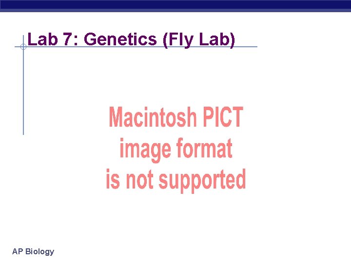 Lab 7: Genetics (Fly Lab) AP Biology 