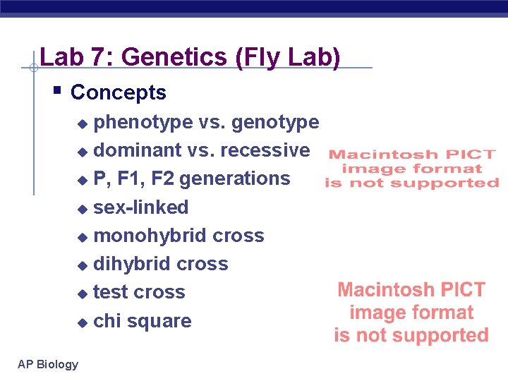 Lab 7: Genetics (Fly Lab) § Concepts phenotype vs. genotype u dominant vs. recessive