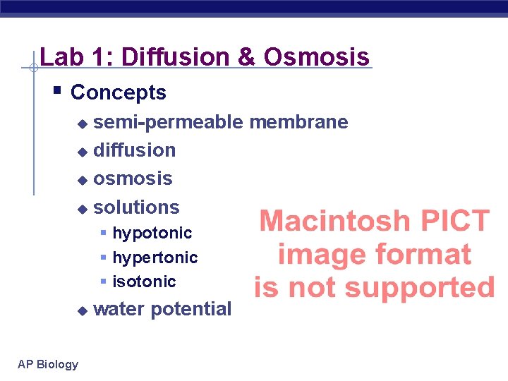 Lab 1: Diffusion & Osmosis § Concepts semi-permeable membrane u diffusion u osmosis u