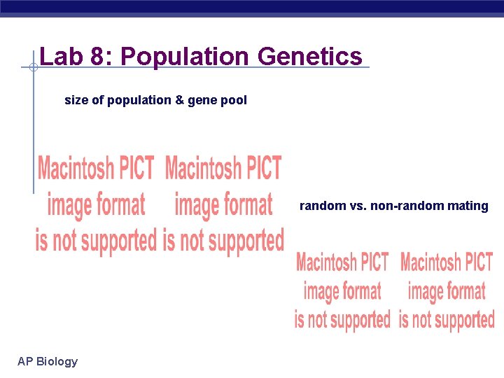 Lab 8: Population Genetics size of population & gene pool random vs. non-random mating