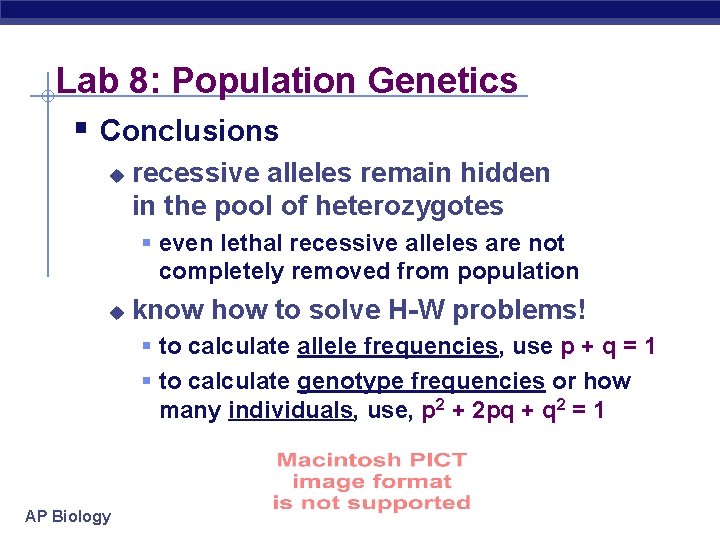 Lab 8: Population Genetics § Conclusions u recessive alleles remain hidden in the pool