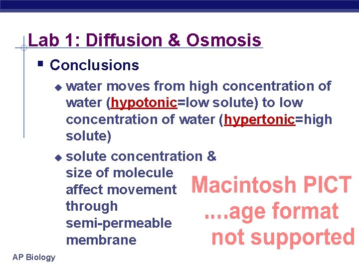 Lab 1: Diffusion & Osmosis § Conclusions water moves from high concentration of water