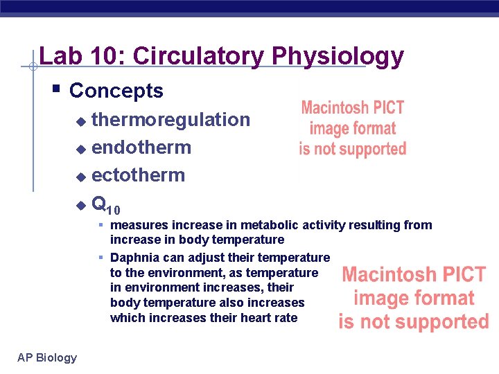 Lab 10: Circulatory Physiology § Concepts thermoregulation u endotherm u ectotherm u Q 10