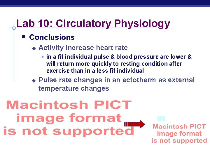 Lab 10: Circulatory Physiology § Conclusions u Activity increase heart rate § in a