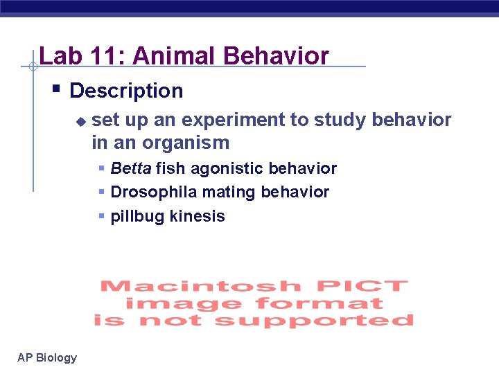 Lab 11: Animal Behavior § Description u set up an experiment to study behavior