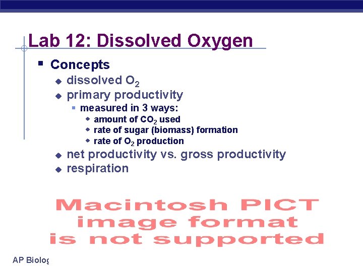 Lab 12: Dissolved Oxygen § Concepts u u dissolved O 2 primary productivity §