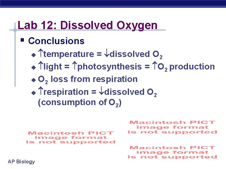 Lab 12: Dissolved Oxygen § Conclusions temperature = dissolved O 2 u light =