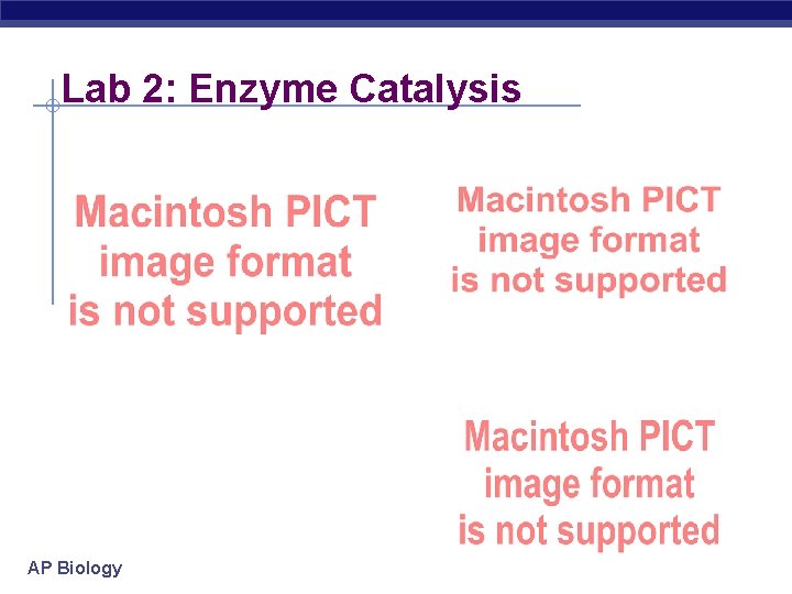 Lab 2: Enzyme Catalysis AP Biology 