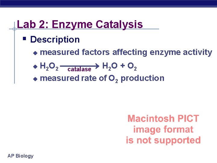 Lab 2: Enzyme Catalysis § Description u measured factors affecting enzyme activity H 2