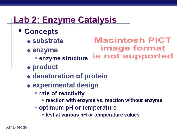 Lab 2: Enzyme Catalysis § Concepts substrate u enzyme u § enzyme structure product