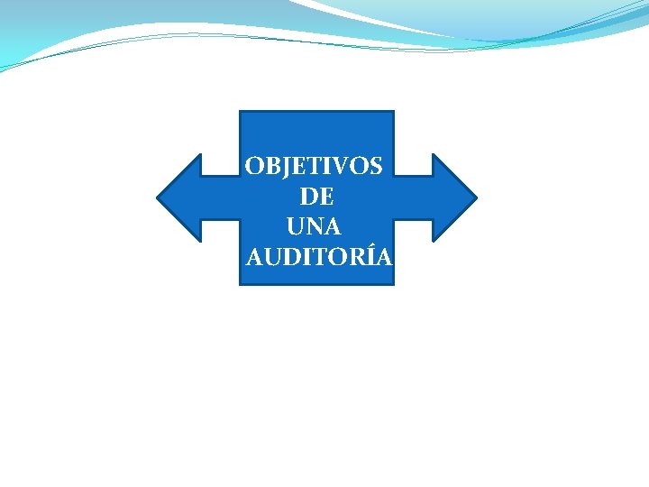 OBJETIVOS DE UNA AUDITORÍA 