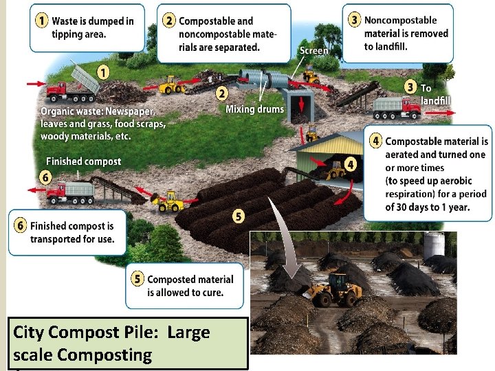 City Compost Pile: Large scale Composting 