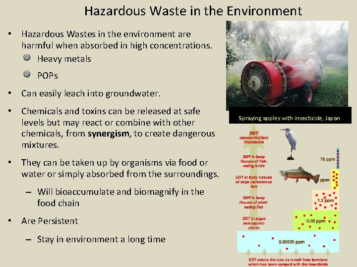Hazardous Waste in the Environment • Hazardous Wastes in the environment are harmful when