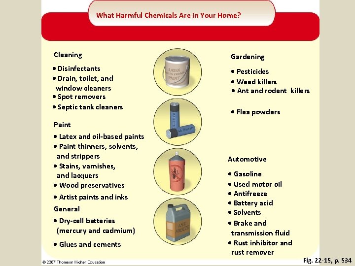 What Harmful Chemicals Are in Your Home? Cleaning Gardening • Disinfectants • Drain, toilet,