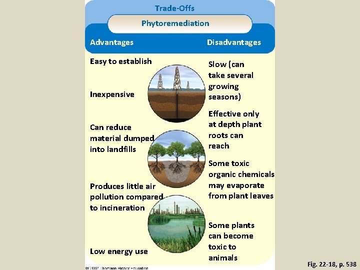 Trade-Offs Phytoremediation Advantages Disadvantages Easy to establish Inexpensive Slow (can take several growing seasons)