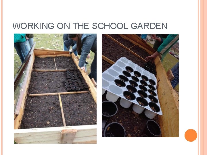 WORKING ON THE SCHOOL GARDEN 