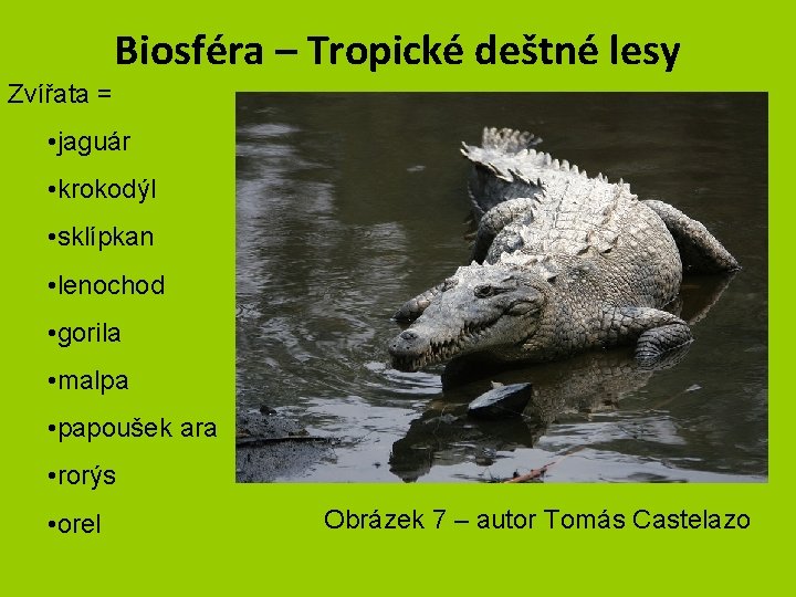 Biosféra – Tropické deštné lesy Zvířata = • jaguár • krokodýl • sklípkan •