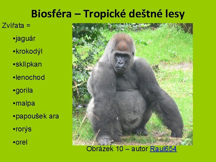 Biosféra – Tropické deštné lesy Zvířata = • jaguár • krokodýl • sklípkan •