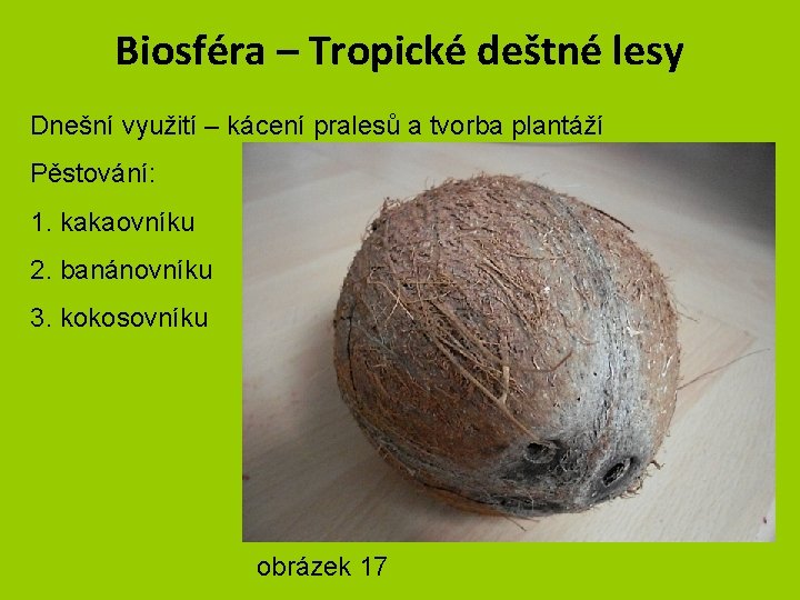 Biosféra – Tropické deštné lesy Dnešní využití – kácení pralesů a tvorba plantáží Pěstování: