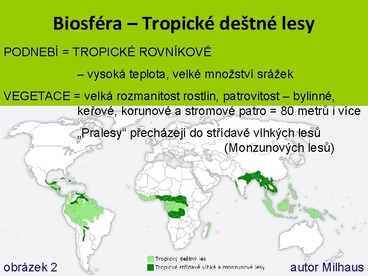 Biosféra – Tropické deštné lesy PODNEBÍ = TROPICKÉ ROVNÍKOVÉ – vysoká teplota, velké množství